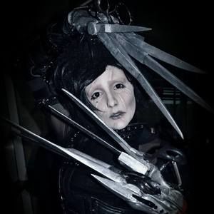 Meet your Posher, Sasha